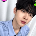 승언이는 유사육아가 <b>주류</b>였는데 최근 외모상태 보고 유사연애하는 팬...