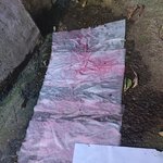 [조언플리즈] 층간소음이 아닌 <b>이웃</b>간 똥통싸움