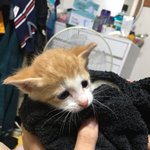 [드루와] 안자는 사람만 볼수있음 <b>후회</b>안한다