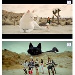 [모두드루와] 레드벨벳 오마주한거 아니냐는 아이브 <b>뮤비</b>