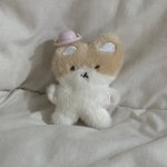 이 <b>인형</b> 연예인 <b>인형</b>임?