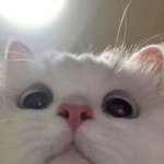 150 장애인 저건 질문이라고 하노