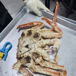 [댓글달아줘] 대천 수산시장 눈탱이