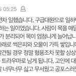 (<b>혐오주</b>의)이거 개충격이네