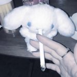 트페미는 정신병이다