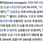 엔하이픈 컨셉 <b>추측</b>해봄