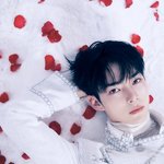 성한빈 이번앨범 컨포 뜬거 보는데