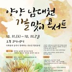양양 <b>남대천</b>에서 다음주에 콘서트 한데요