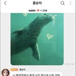[모두드루와] 나 <b>타</b><b>팬</b>인데 얘 때문에 눈물날 것 같아..