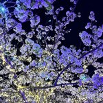 [댓글부탁해] <b>계원</b>예중 합격 ㅠㅠㅠㅠㅠ