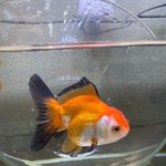 와 <b>수준</b> ㅈㄴ 떨어지네