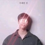이안<b>시누</b>는치명적인독이다.