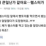 <b>셀카</b>만 찍으면 얼굴 ㅈㄴ 진짜 ㅈㄴ 길어보이는데