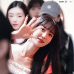 당신의 '밤비'는 누구? (여돌 <b>ver</b>.)