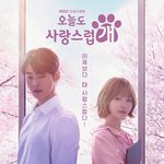 차은우 드라마 오늘도 사랑스럽개 시청률 추이