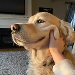 하루 종일 말랑 <b>볼살</b>만 만지고 싶어