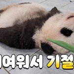 울 엄마 <b>임티</b> 겁나 커여움 ㅋㅋㅋㅋ