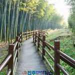 가좌산 둘레길, 함양 상림숲길, <b>남해</b>바래길 7코스 등 경남 도내...