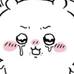 카즈하+<b>강해</b><b>린</b>