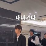 라이즈 성찬 앤톤 <b>실물체감</b>짤