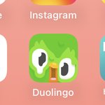 [댓글부탁해] 아니 ㅅㅂ 내 <b>듀오</b>링고 왜이럼;