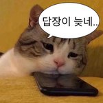 [19] <b>저탄</b>고지할때