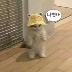 [19] <b>저탄</b>고지할때