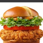 [댓글부탁해] 버거고수 형 누나들좀봐줘..