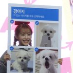 <b>츄</b> 진심 볼때마다기분좋아짐