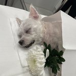 우리는 여기까지였나 보다 잘가거라