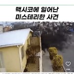 아 ㅈㄴ 끔찍.. (<b>새주의</b>)