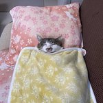 나 옛날에 커터칼로 <b>손톱</b>잘라본적있음
