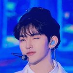[ZB1] <b>행운</b>즈 베레모 찢었다고
