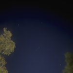 [드루와] 얘들아 나 <b>오리온</b>자리 찍었어