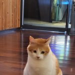 [댓글부탁해] 백팩 뭐가 <b>무난</b>하게 예뻐??ㅠㅠㅠㅠ도와줘