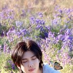 방탄 <b>알</b><b>엠</b> 아이폰 배경화면