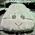 <b>키</b> 163에 몸무게 41인 <b>여</b><b>돌</b> 있어?