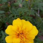 [스키즈] 애들 노래 들으면서 <b>산책</b>하다 찍었는데