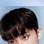 2024 시즌그리팅 드림 127버전 마크 사진보니까