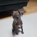 제<b>베원</b> 비주얼 딱 정리해줌