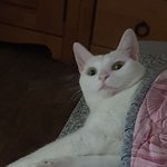 우리 크림 좀 봐봐