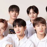 더보이즈 닮은 그룹 찾음