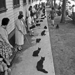 여잔데 <b>페미니즘</b> 너무 싫어 ㅠ