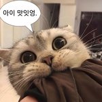 너희 안 <b>친한</b> 애가 생일선물로 기프티콘 주면