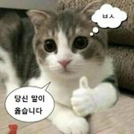 <b>홍박</b>사 개빻았노 진심…