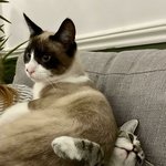 <b>어유</b> 이 질투쟁이들