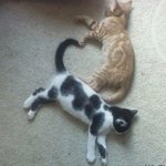 대학교 <b>무결</b> 1번 어떰