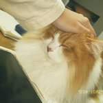 이 <b>필터</b> 갬성 오짐