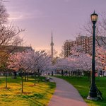 사진으로 가보는 <b>단풍국</b> 여행