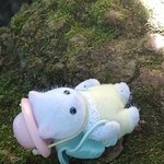 [드루와] 너무 힘들어